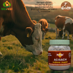 Provitta-Acisach-செரிமான பெருக்கி