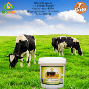 Provitta - Organic - கறவை மாடுகளுக்கான சத்துமாவு