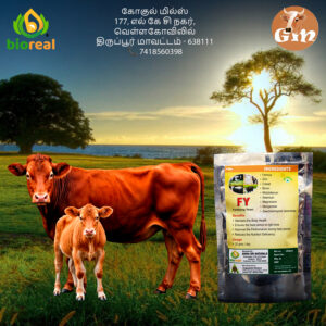 Provitta-FY – Fertilizing Yeast