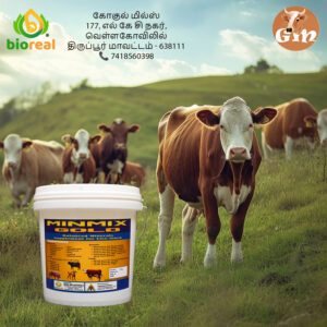 MINMIX GOLD - Balanced Minerals Supplement For Live Stocks