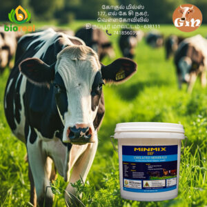 MINMIX HF - Chelated Minerals வெப்ப சமனி