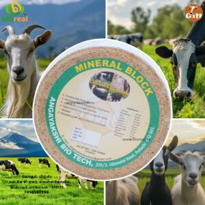 Mineral Block - தாதுஉப்பு கட்டி