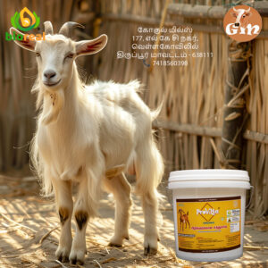 Provitta-Organic - ஆடுகளுக்கான சத்துமாவு
